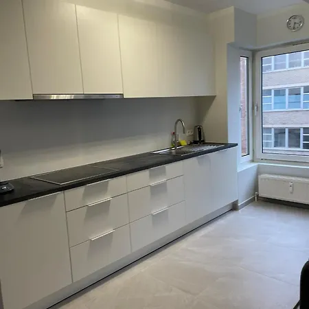 Apartmán Comfortable 2-bedroom In The Centre Of T93