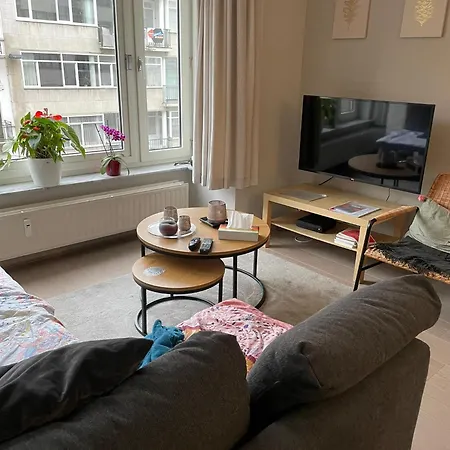 Comfortable 2-bedroom In The Centre Of T93 Apartment Ostende