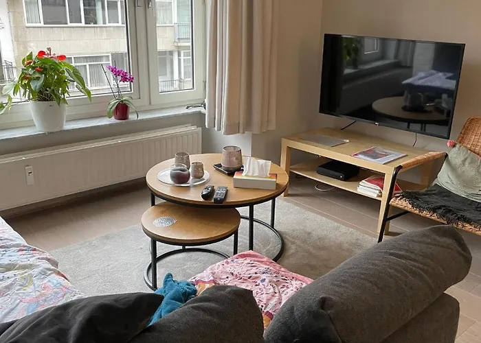 Comfortable 2-bedroom In The Centre Of T93 Appartement Ostende